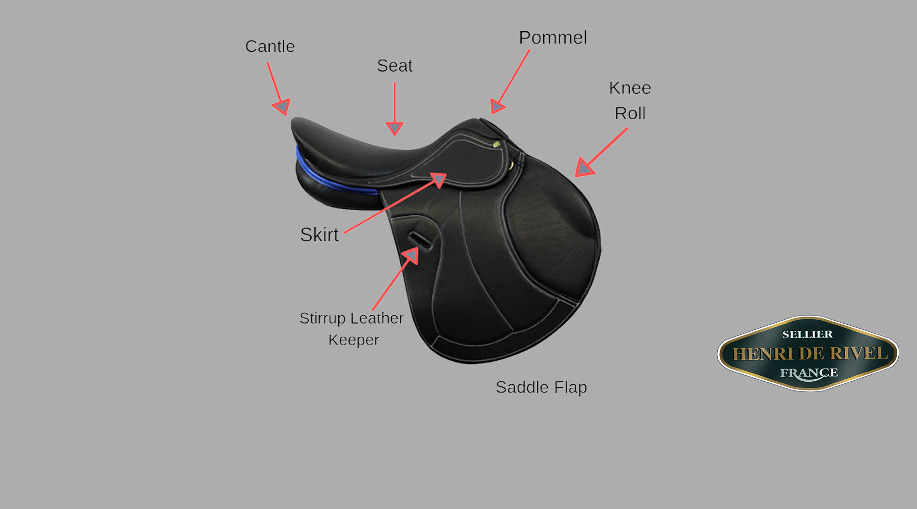 s Guide to the Parts and Functions of the English Saddles