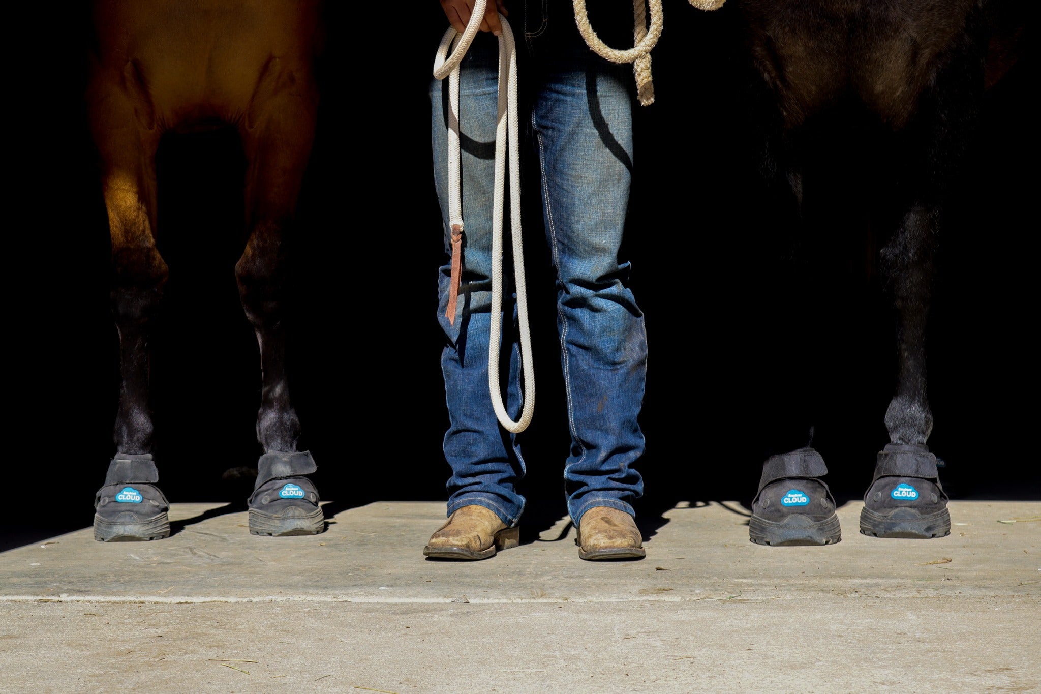 Cloud horse hoof boots with equestrian and two horses shown from waist down