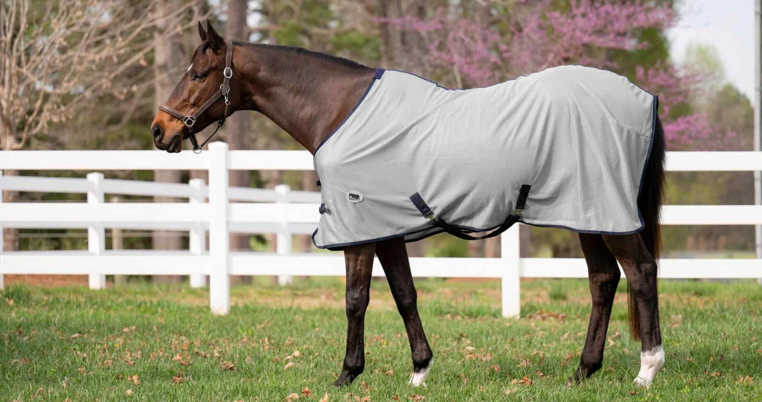 horse tack store, horse supplies, horse products, bay horse stands in green field wearing light gray fly rug