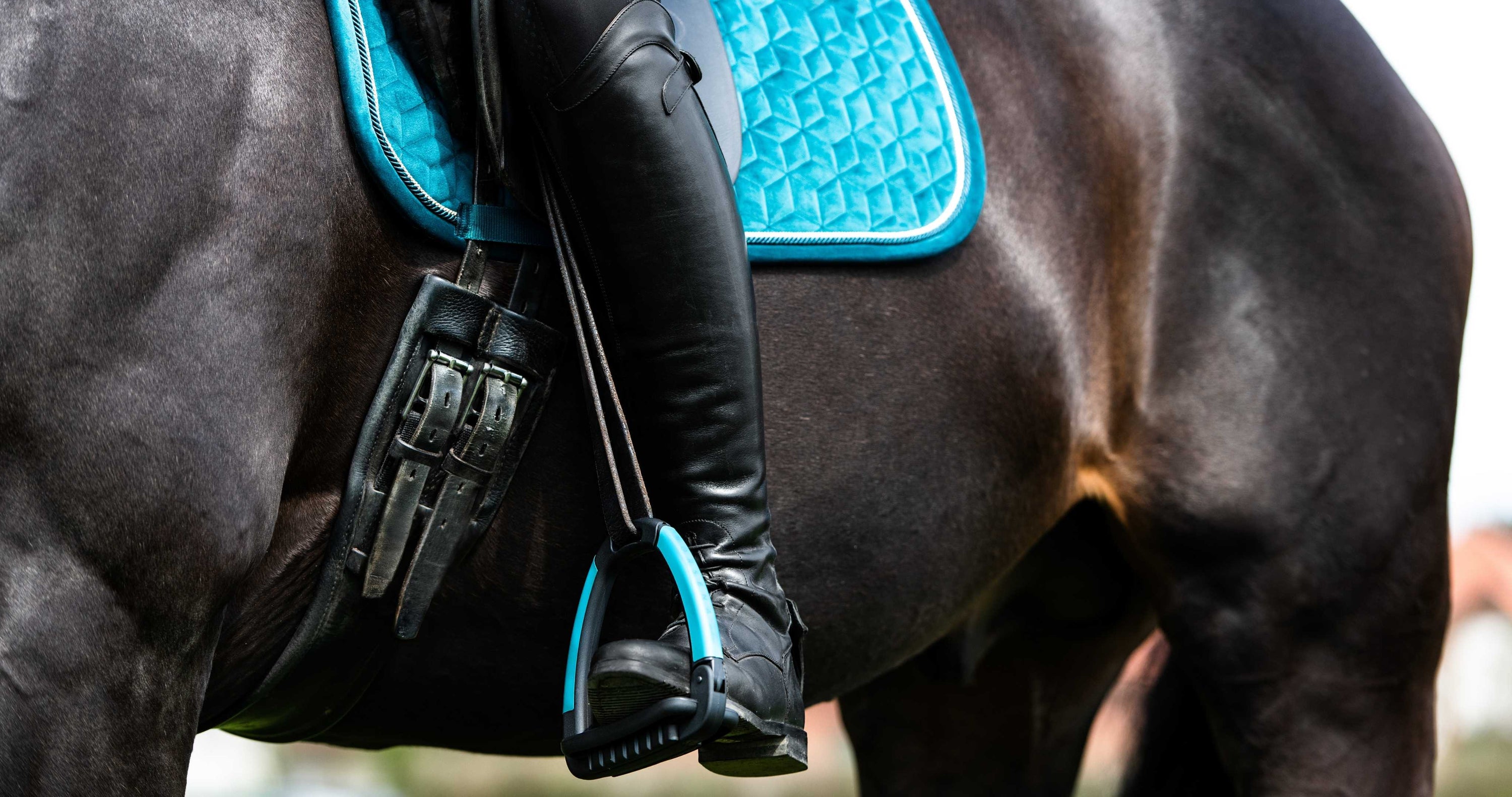 close up photo of a rider's leg against a black horse wearing a teal blue saddle pad, rider is using horse stirrups, steel stirrups, safety stirrup, horsena safety stirrup