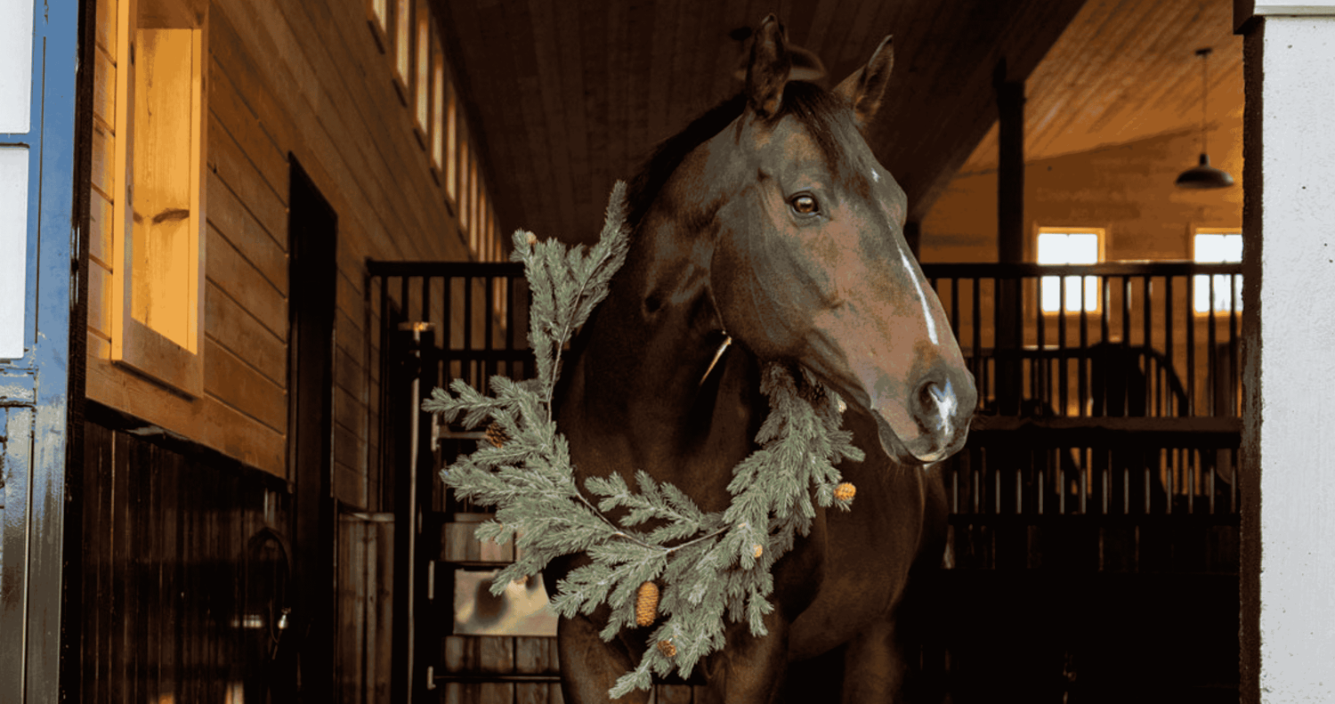 dark bay horse stands in barn aisle wearing bright green wreath, horse holiday, holiday favorites, stocking stuffers, last minute gift ideas