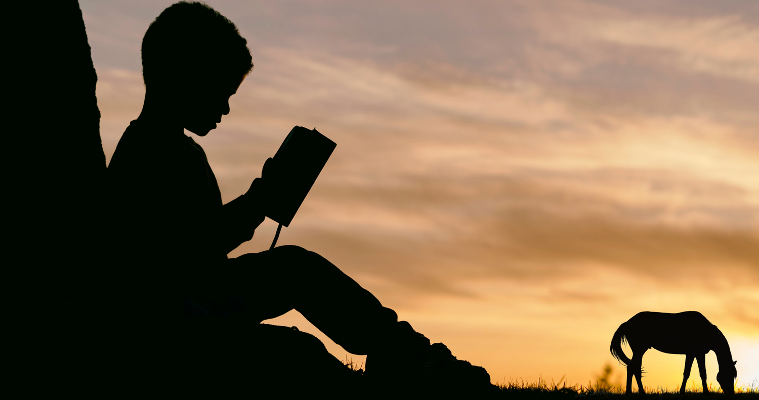 summer reading, summer reading list, horse books, horse books for teens, silhouette of young child leaning against tree at sunset with horse silhouetted in the background