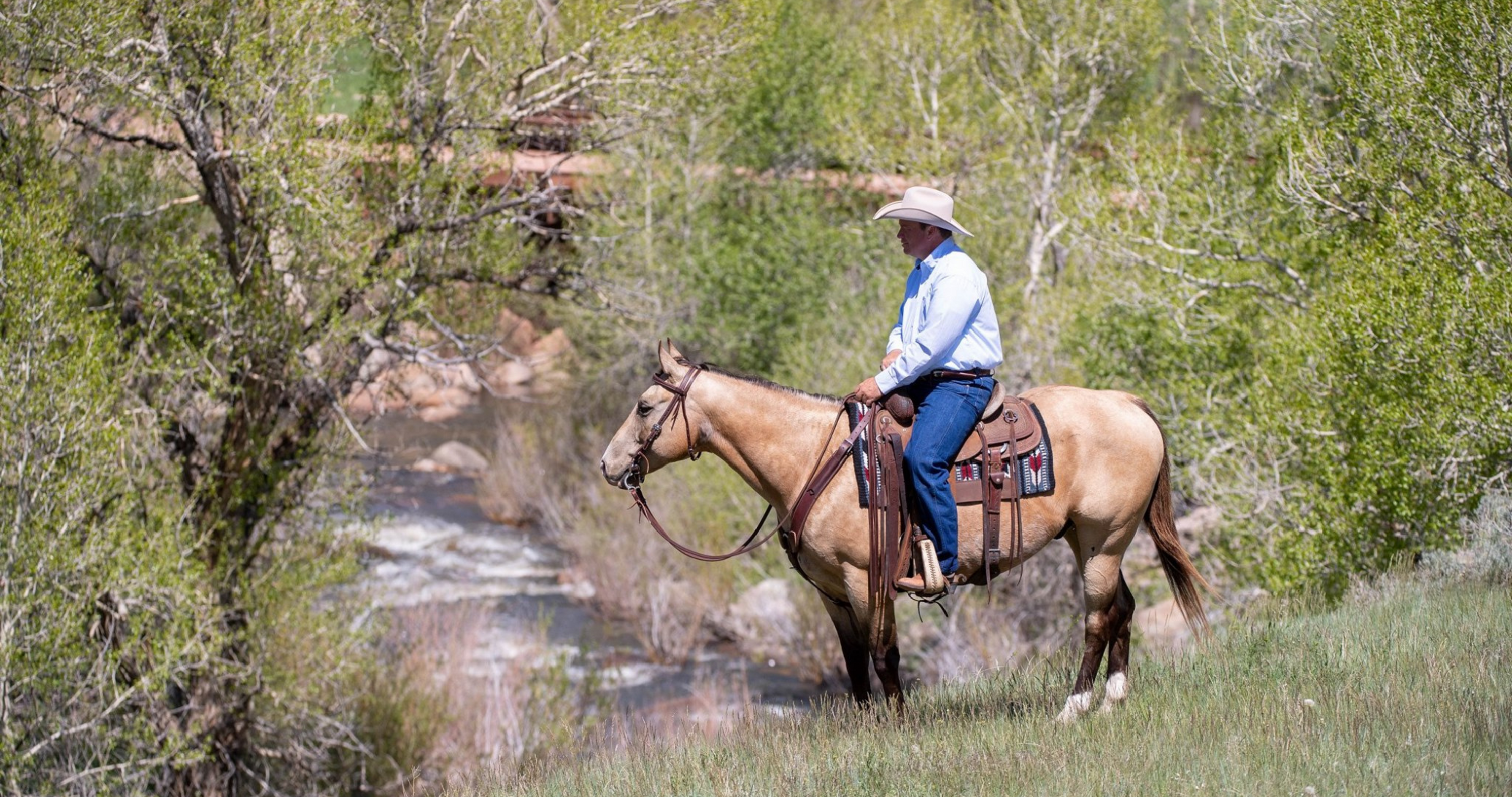 Full Natural Roughout with Padded Suede Seat Calf Roping Saddle