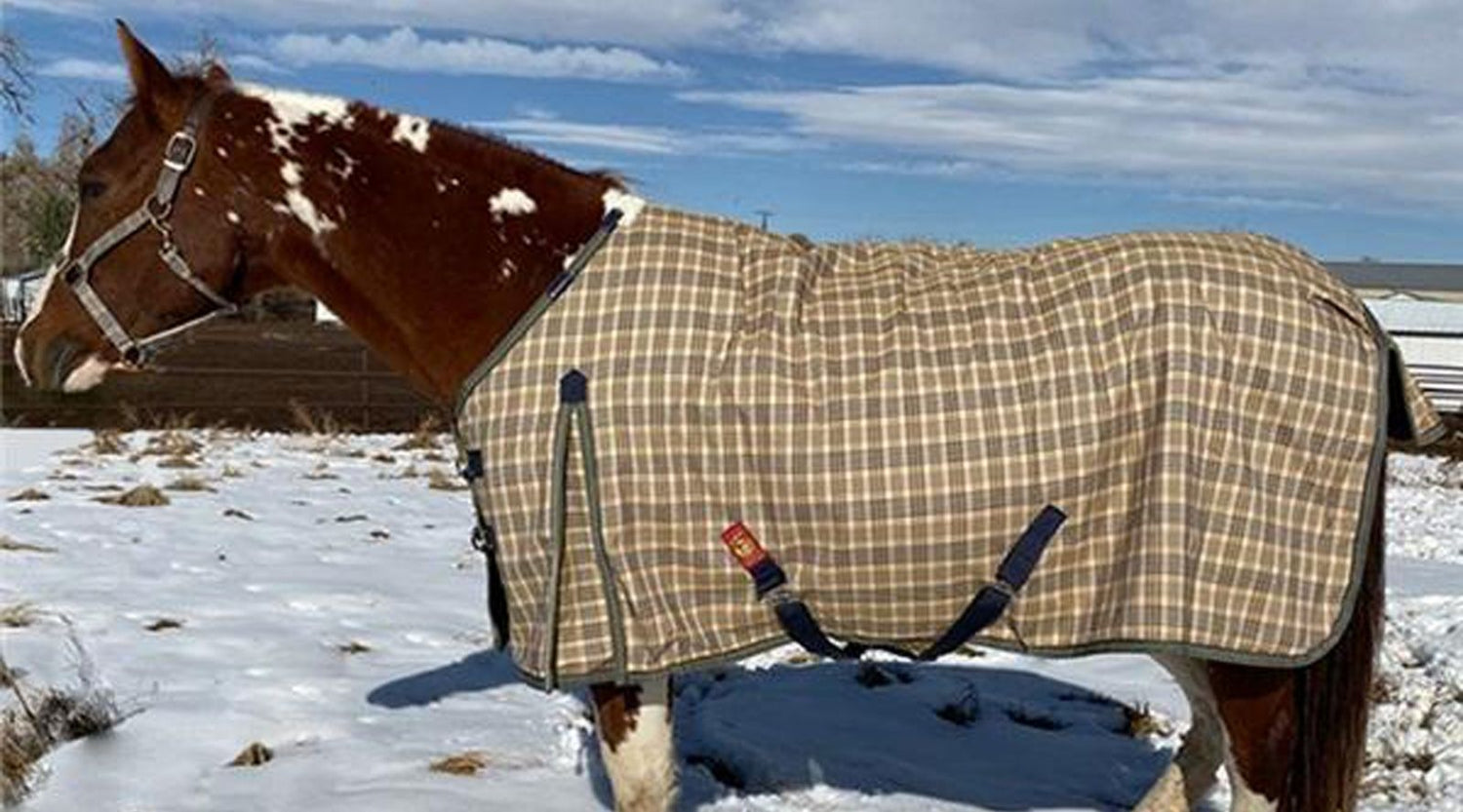 How to Brave the Cold for Riders and Horses