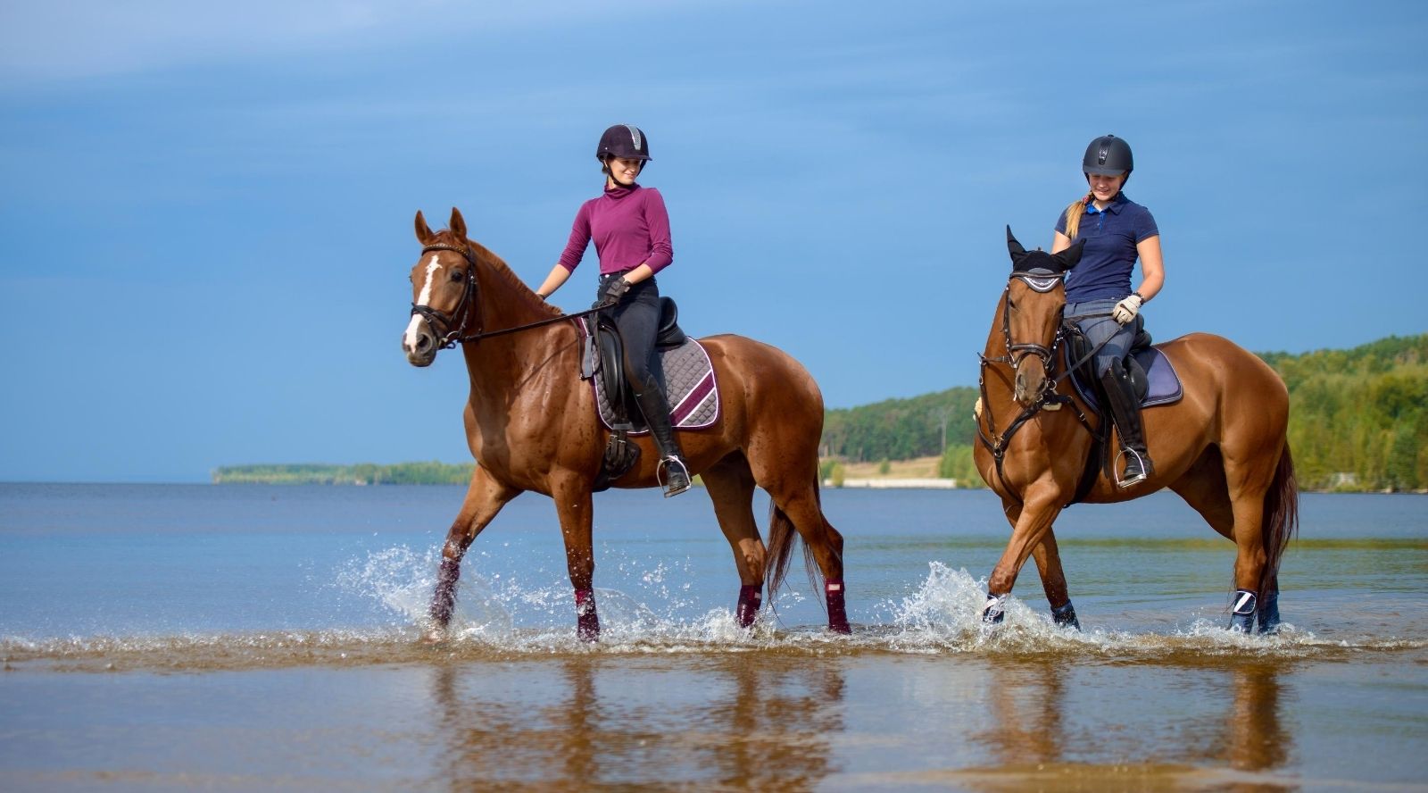 How to Spend the Last Few Weeks of Summer  With Your Horse