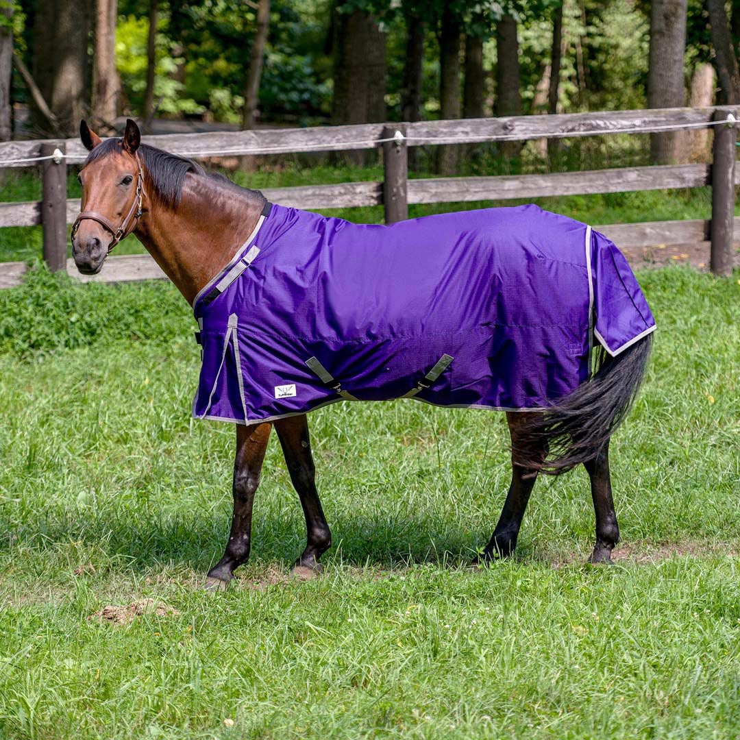 TuffRider Comfy-Fit Medium Weight Turnout Blanket w/ Adjustable Neck