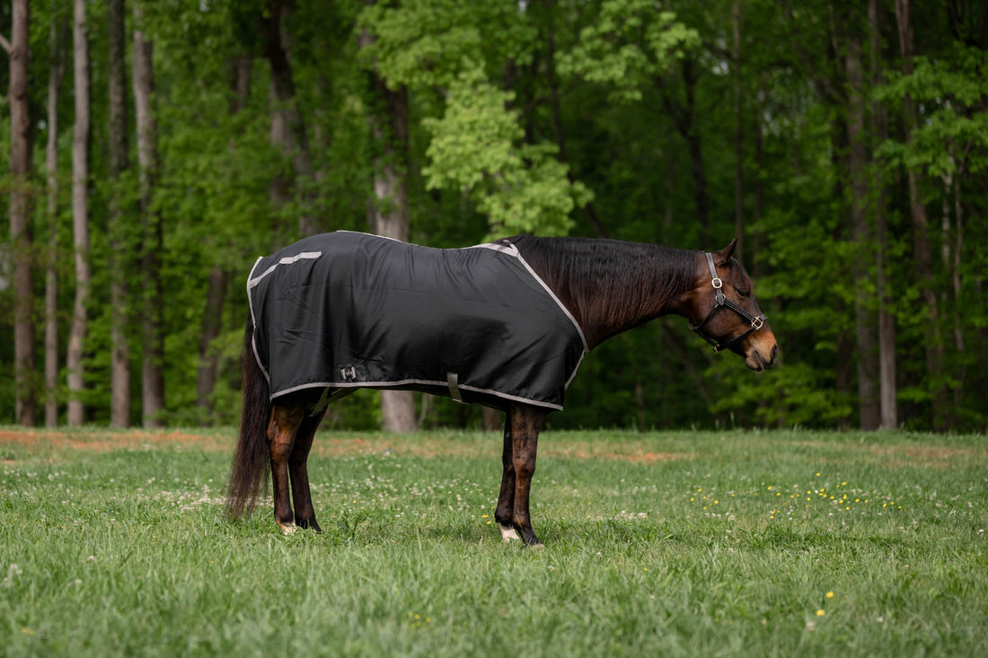 TuffRider Shelter Closed Front Stable Sheet