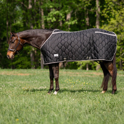 TuffRider Shelter Closed Front Heavy Weight Stable Blanket