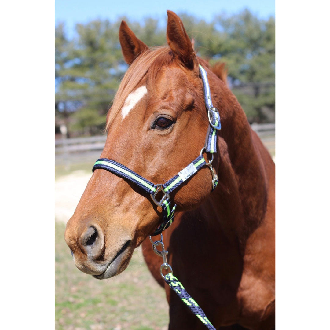 TuffRider Nylon Breakaway Halter &amp; Lead Rope Set