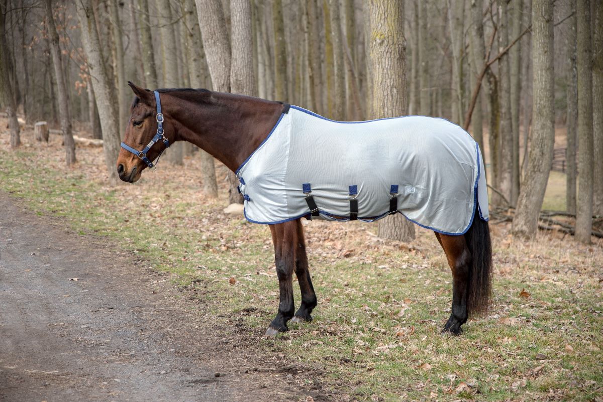 TuffRider Comfy Plus Standard Neck Fly Sheet