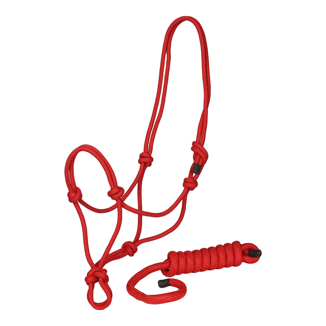 TuffRider Rugged Rope Halter with matching 6 foot lead