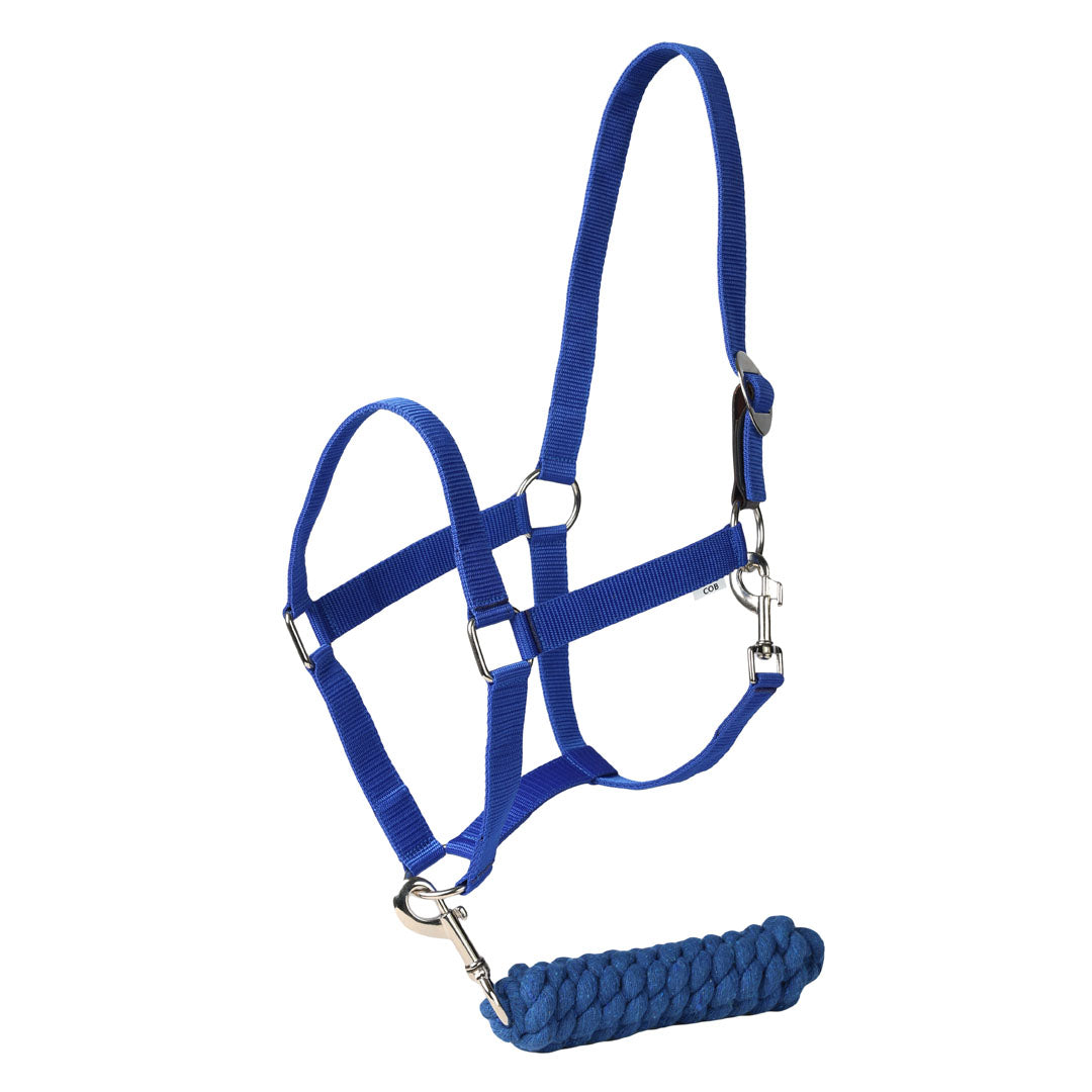 TuffRider Halter And Lead Rope Set With Breakaway Leather