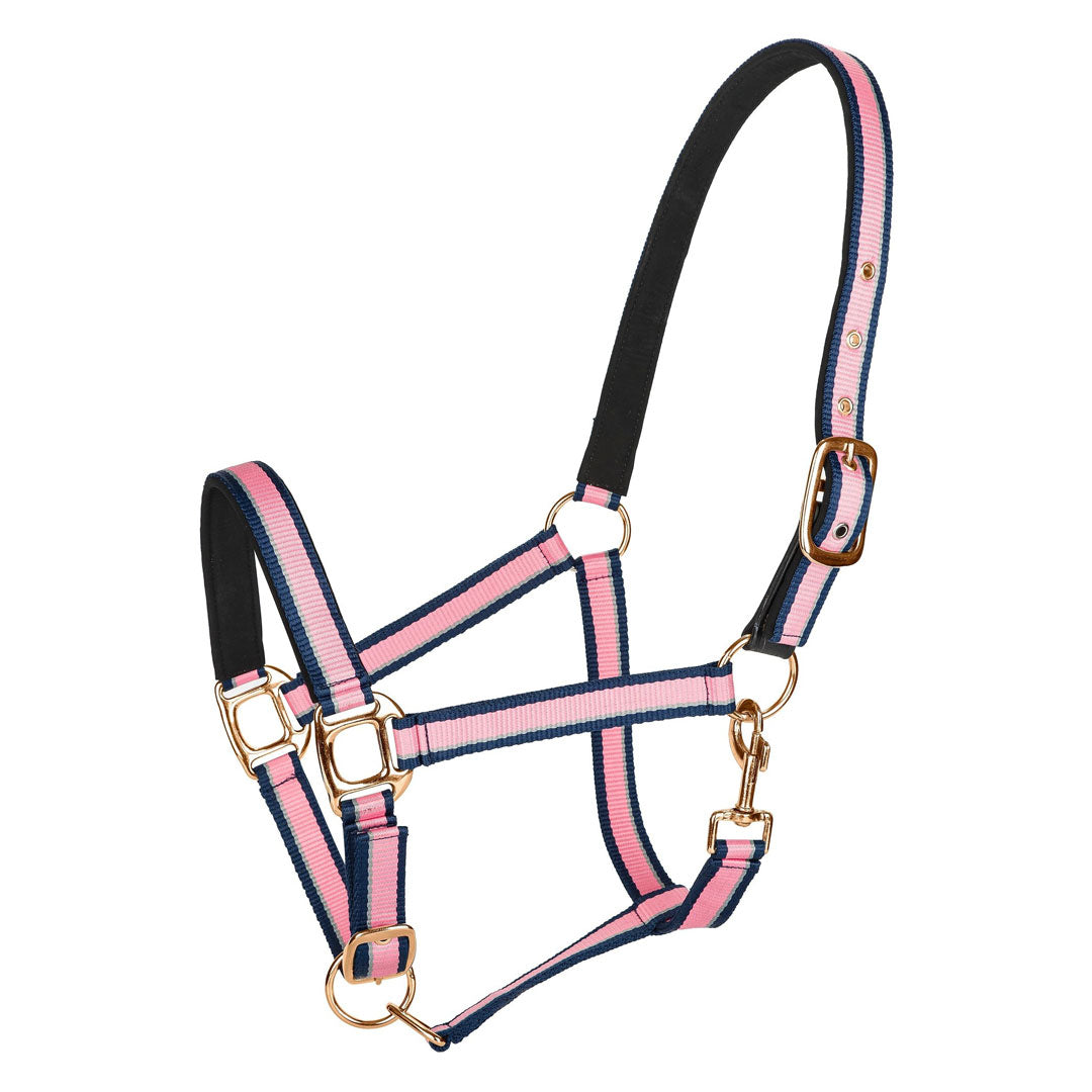 TuffRider Adjustable Nylon Breakaway Halter w/ Padded Crown and Rose Gold Hardware- Hot Pink/Navy/Gray