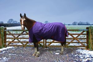 TuffRider Bonum Turnout Blanket 1200D