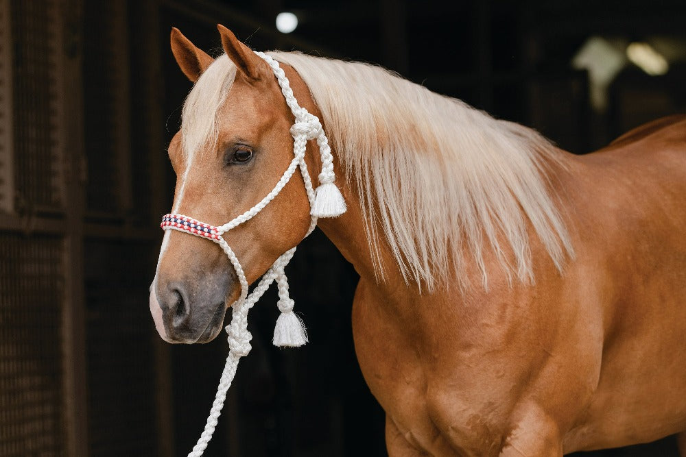 Professionals Choice Cowboy Braided Halter 10&