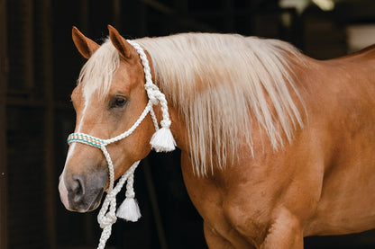 Professionals Choice Cowboy Braided Halter 10&