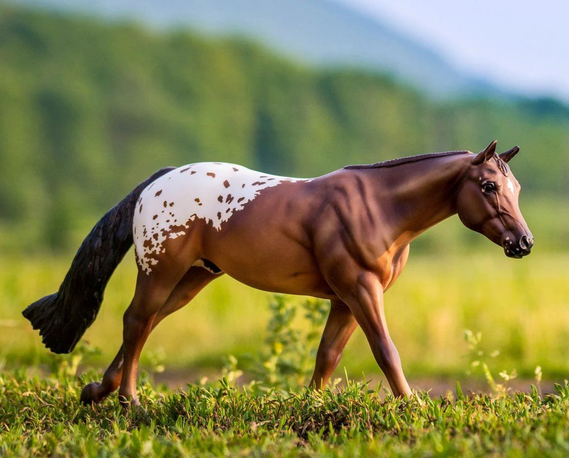 Breyer Chocolatey