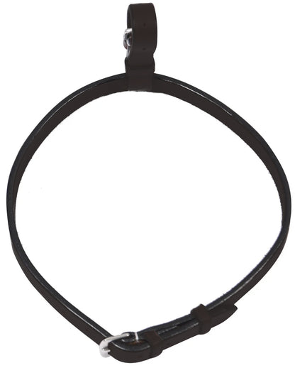 Henri de Rivel Pro Buckle Flash Noseband Converter