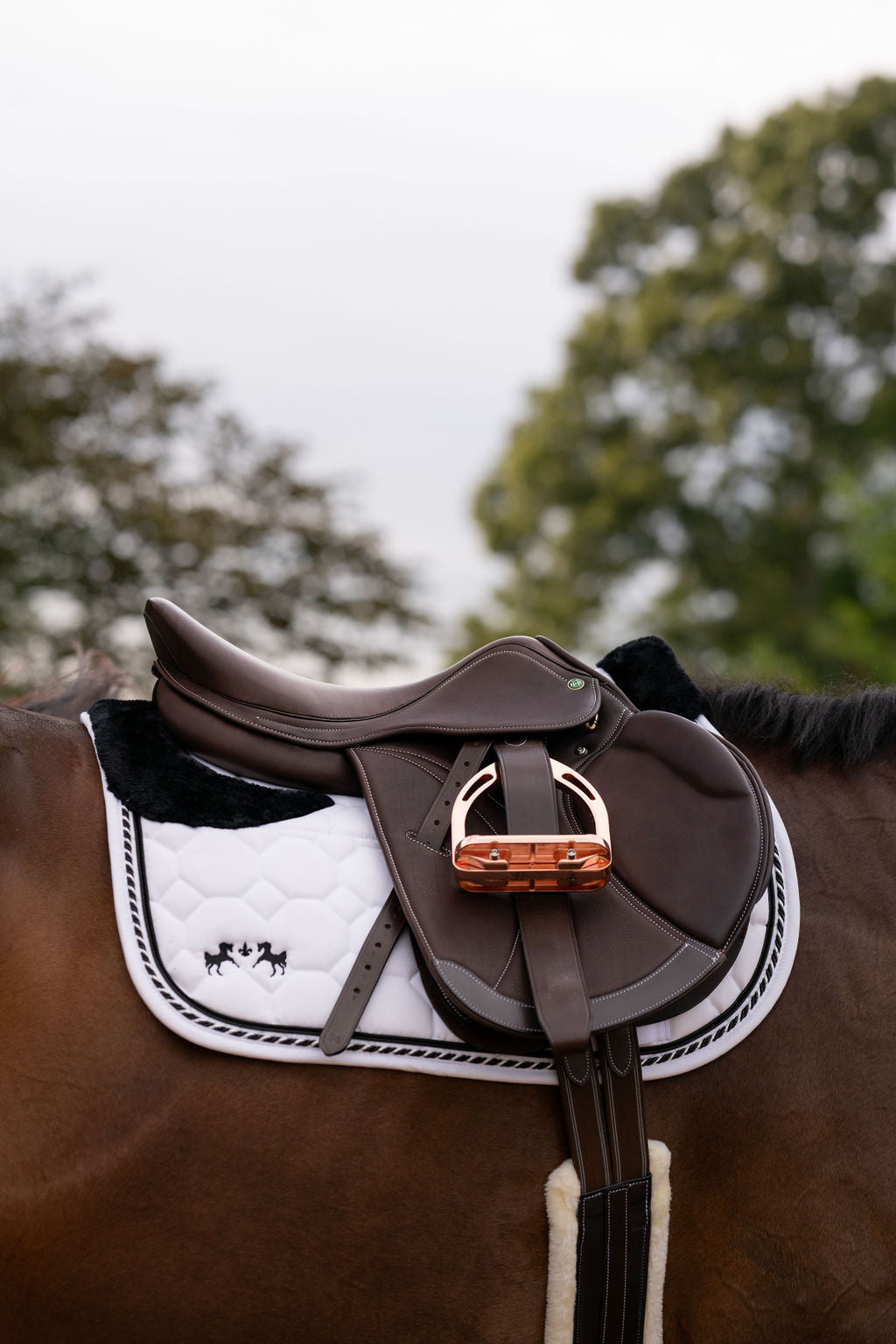 Henri De Rivel Equipe Covered Close Contact IGP Saddle