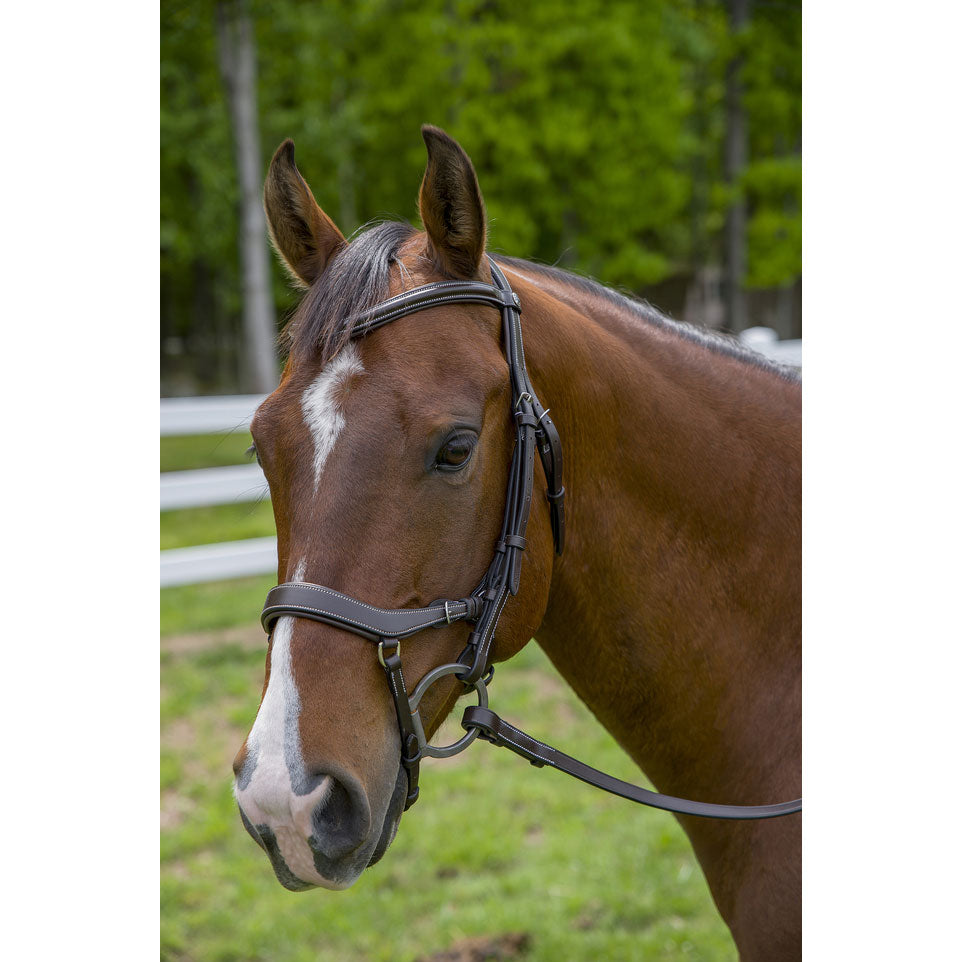 Henri de Rivel Pro Anatomical Bridle