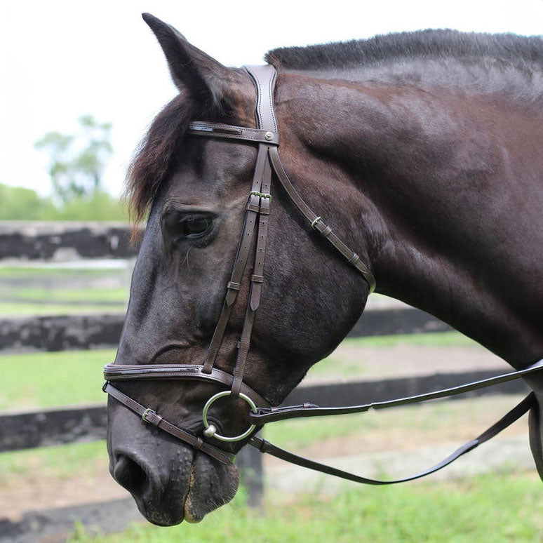 Henri de Rivel Pro Piaffe Mono Crown Bridle with Flash Noseband with Patent Leather