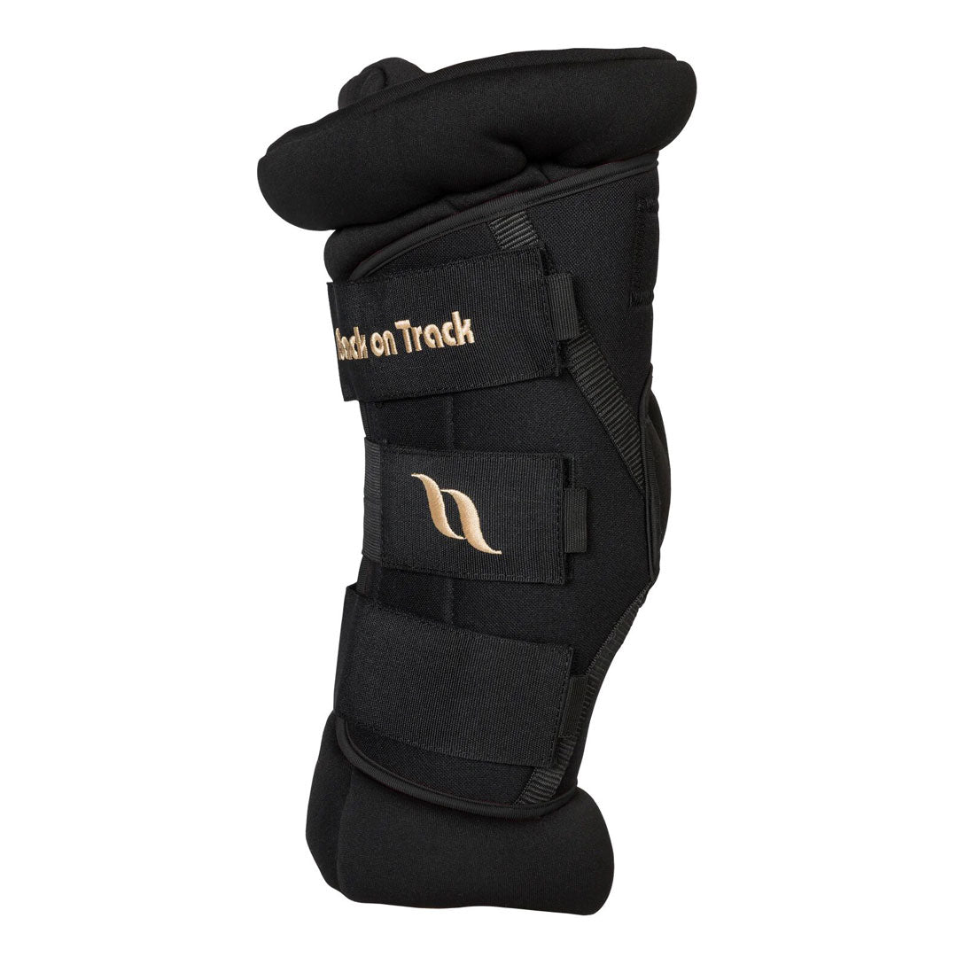 Back on Track Royal Padded Hock Boots Deluxe