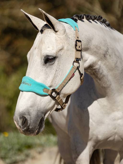 LeMieux Vogue Headcollar &amp; Leadrope