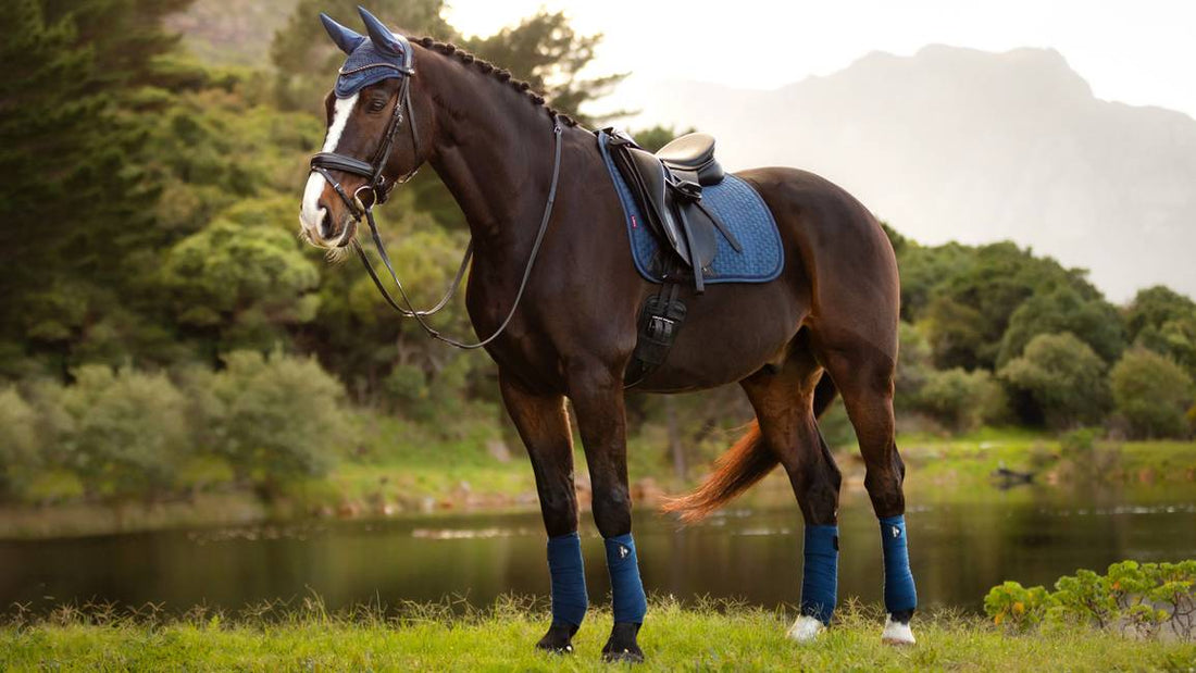 Lemieux Suede Dressage Square Saddle Pad- Atlantic