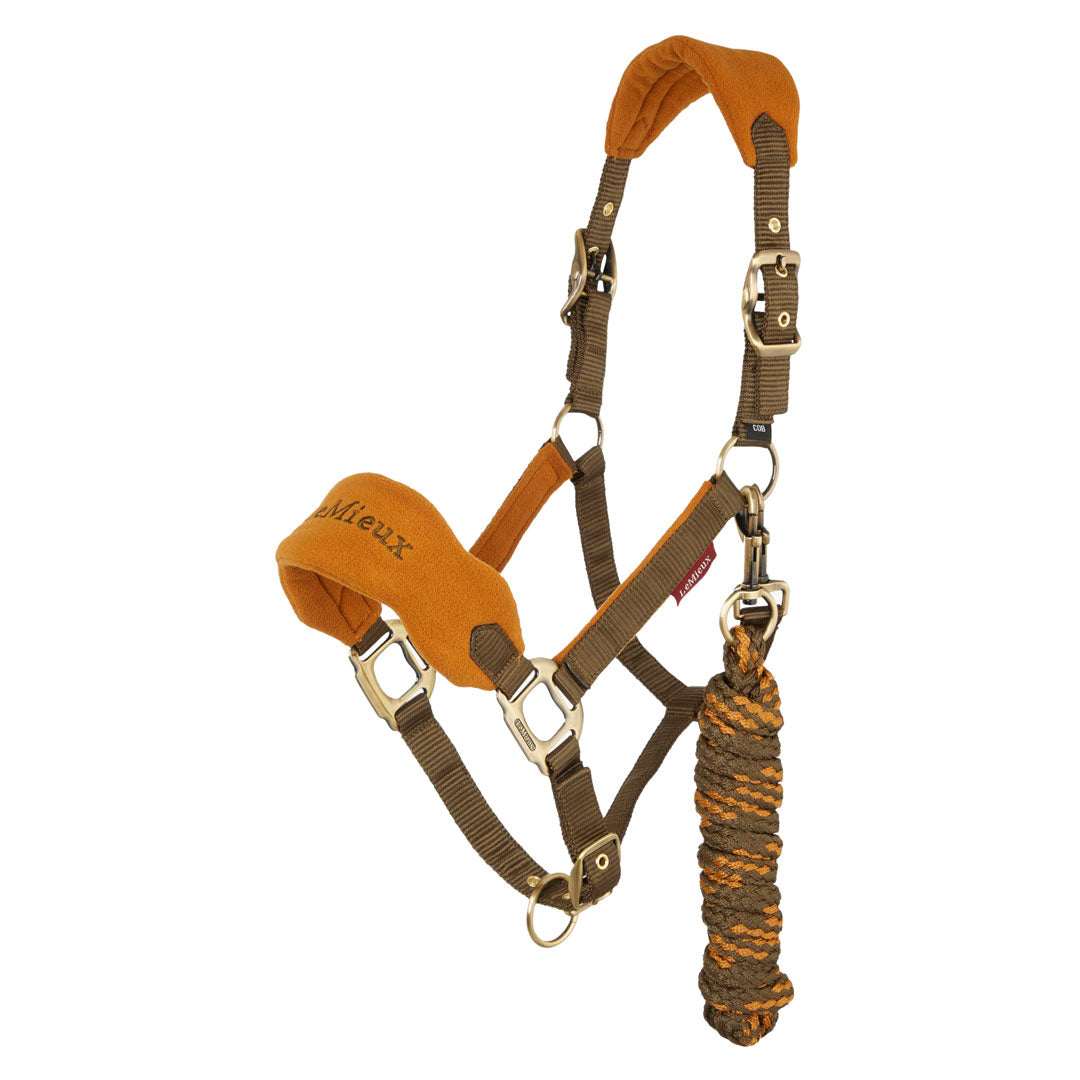 Lemieux Vogue Headcollar &amp; Leadrope