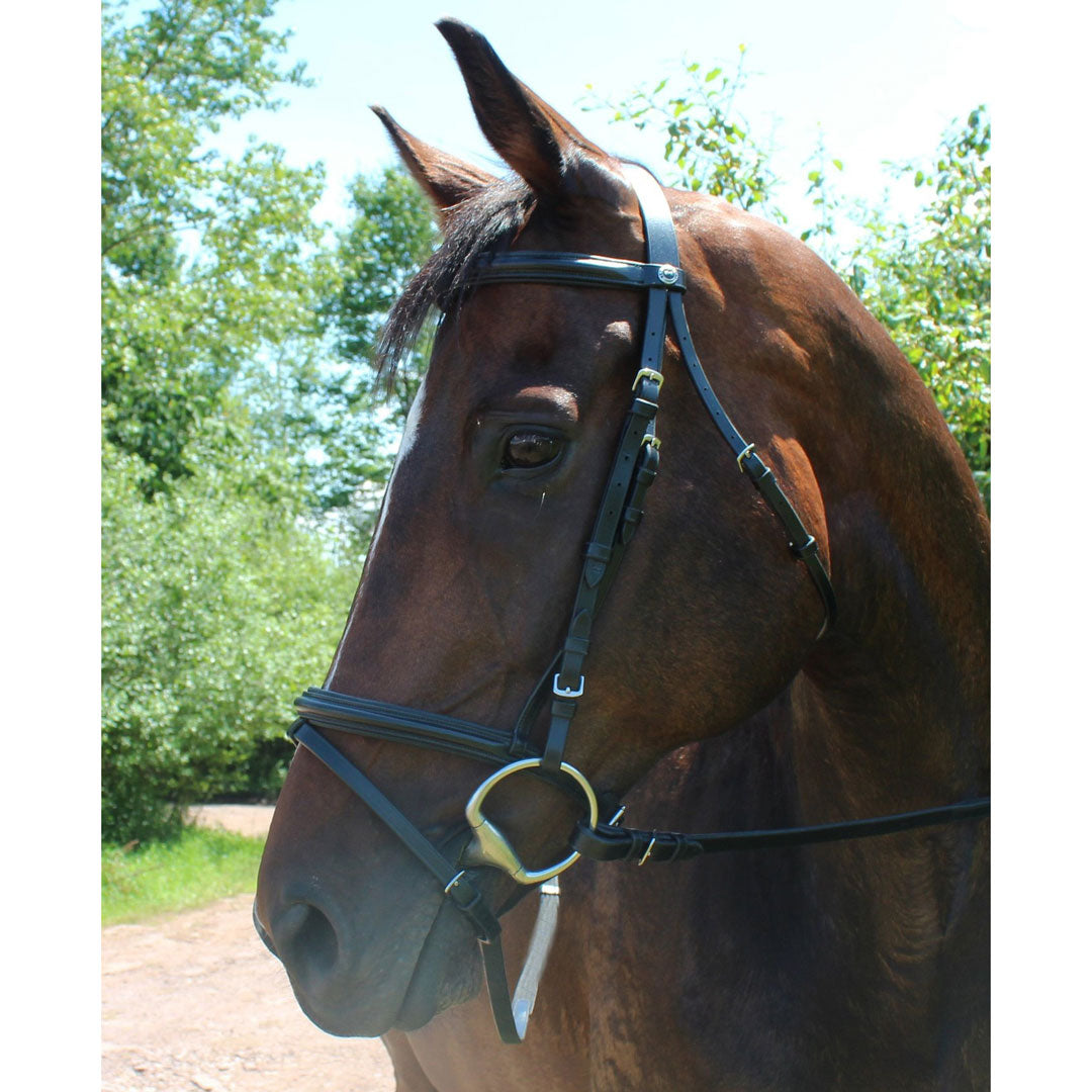 Henri de Rivel Pro Padded Dressage Bridle with Flash and Web Reins