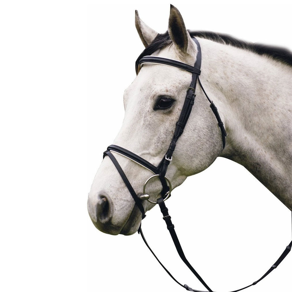 Henri de Rivel Pro Padded Dressage Bridle with Flash and Web Reins