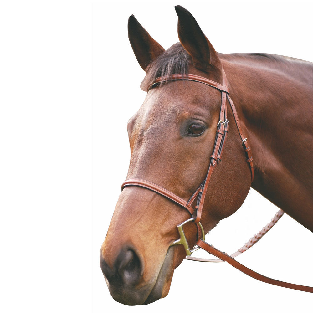 Henri de Rivel Advantage Plain Raised Snaffle Bridle With Laced Reins