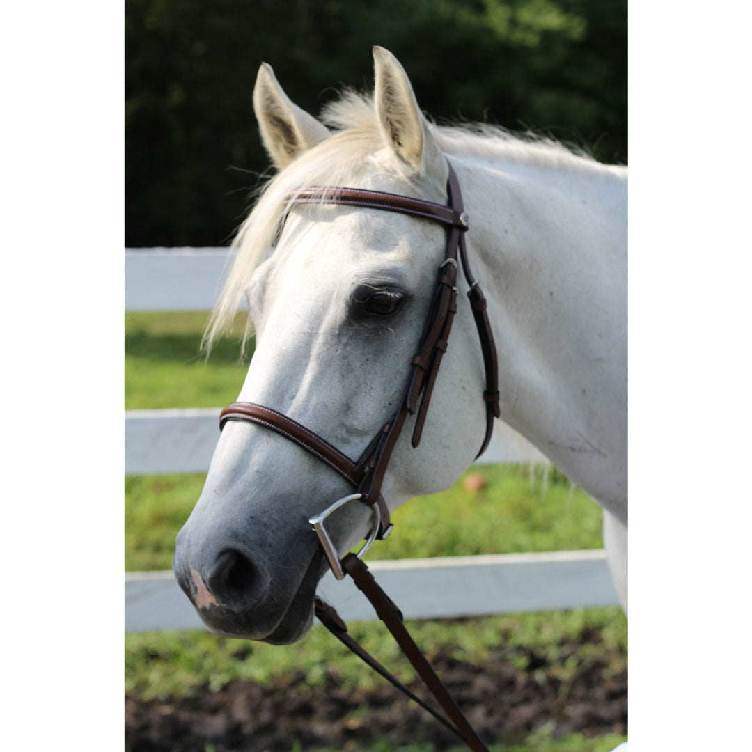 Henri de Rivel Advantage Plain Raised Snaffle Bridle With Laced Reins