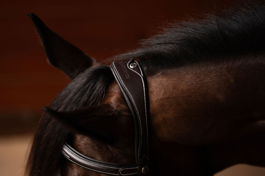 Henri de rivel Jamaika Pro Anatomical Fancy Raised Wide Flash Noseband Bridle with Raised laced reins