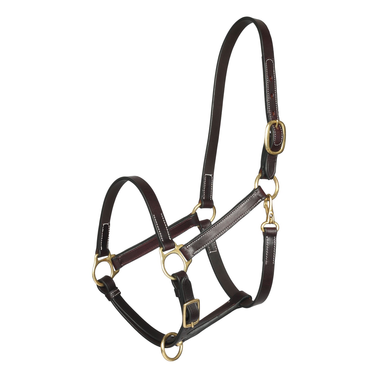 Henri de Rivel Yearling Pre Oiled Leather Halter With White Stitching And Brass Snap 