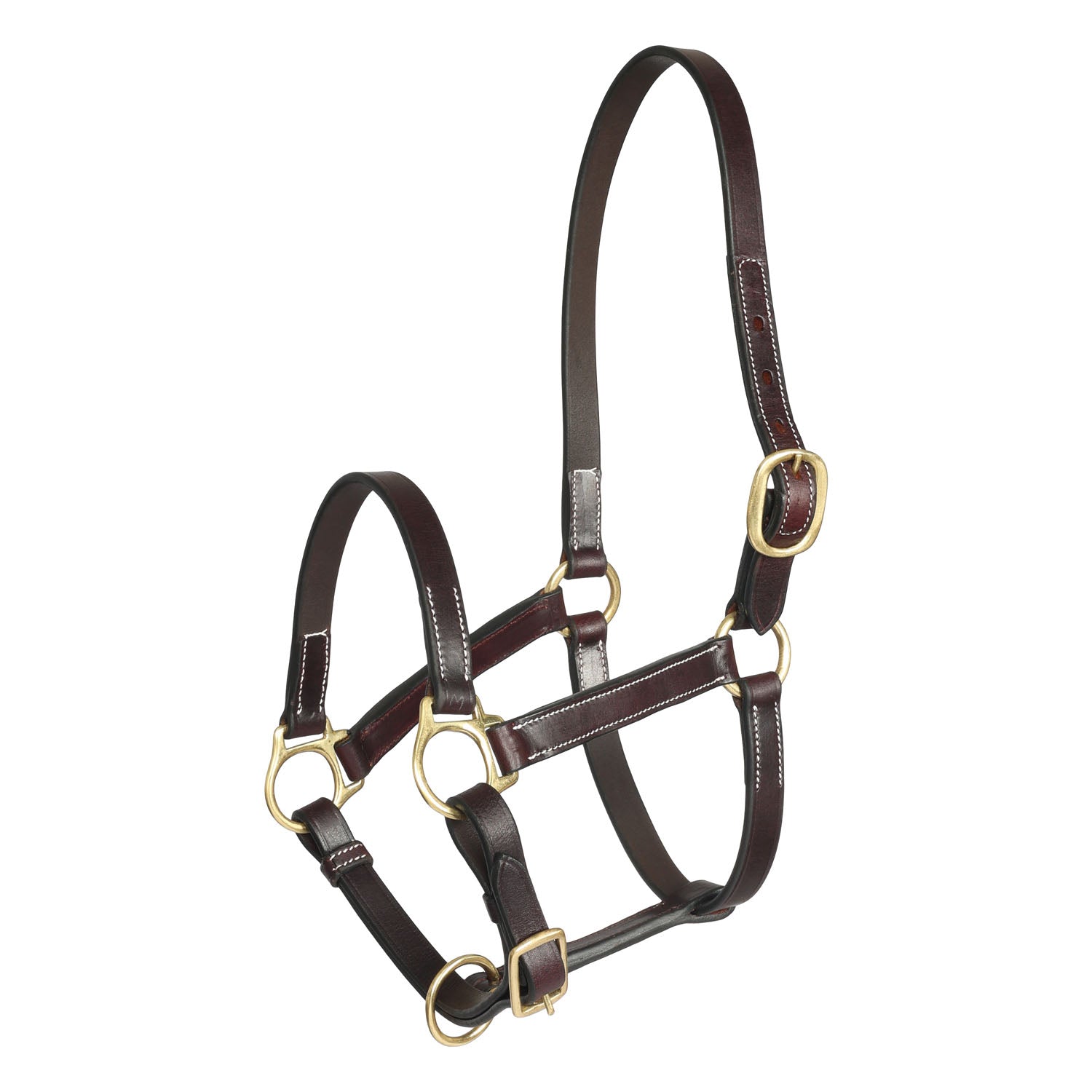 Henri de Rivel Suckling Pre Oiled Leather Halter  With White Stitching Without Snap