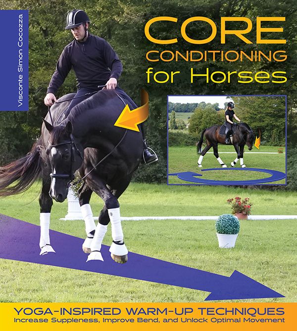 Core Conditioning for Horses