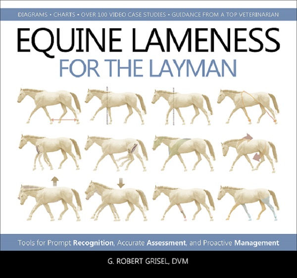 Equine Lameness for the Layman