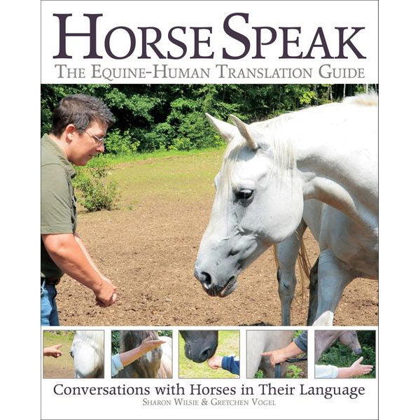 Horse Speak: The Equine-Human Translation Guide