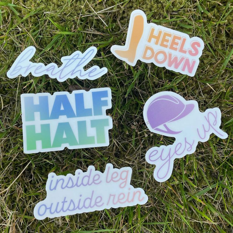 Dapplebay Trainer Sayings Sticker Pack