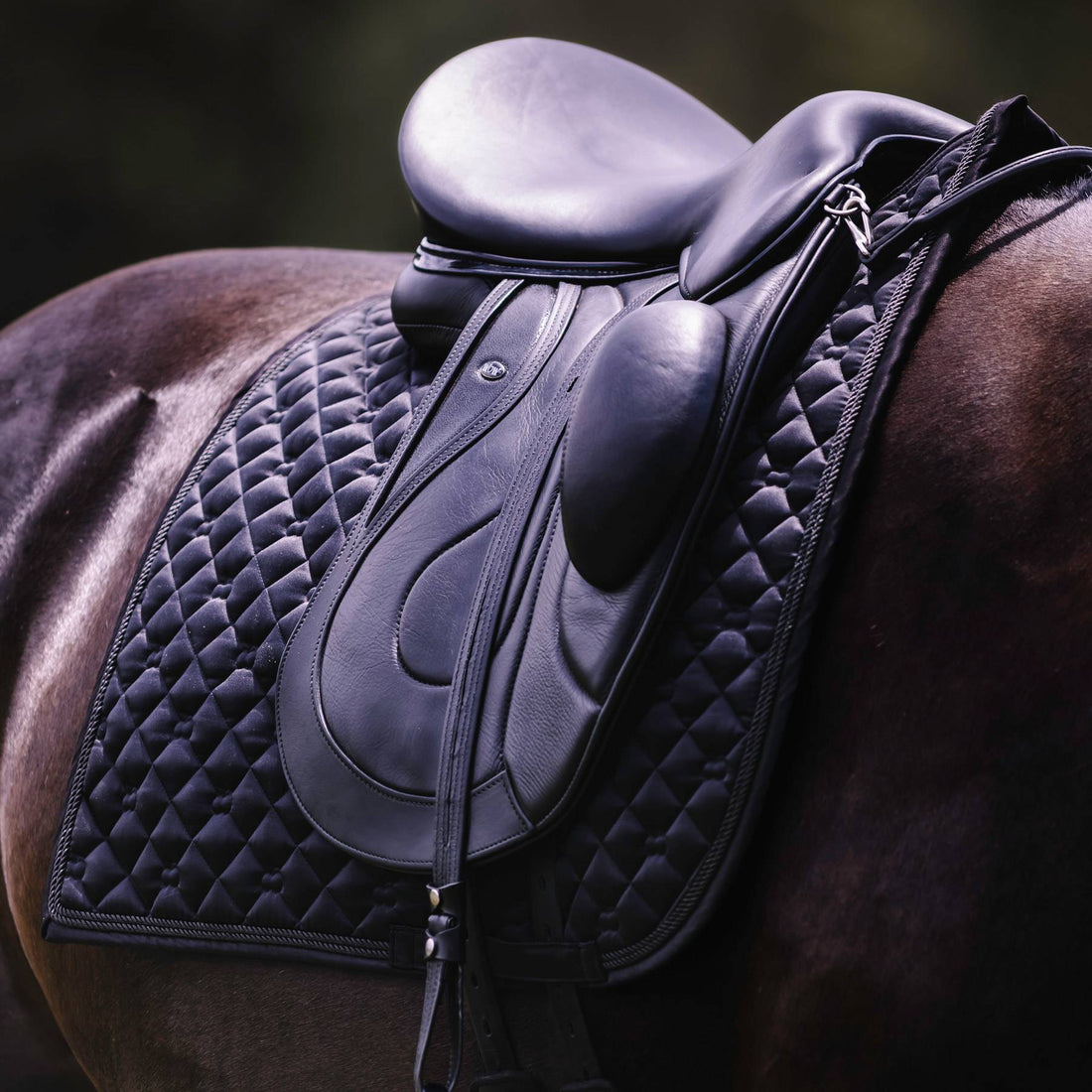 Dapplebay  Sport Dressage Saddle Pad - Black - Breeches.com