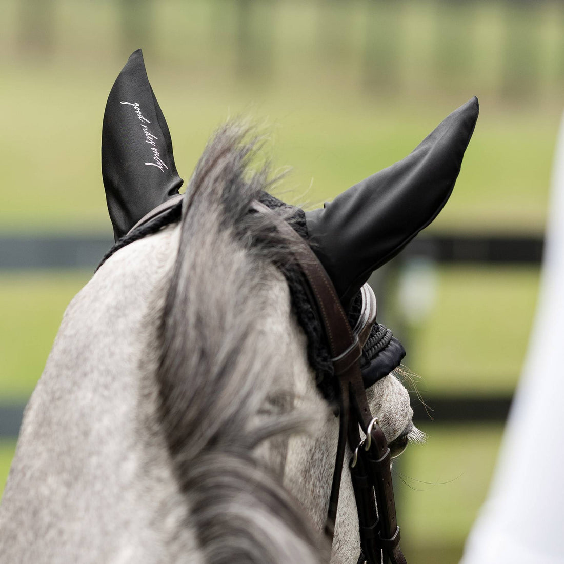 Dapplebay  Sport Fly Veil - Black - Breeches.com