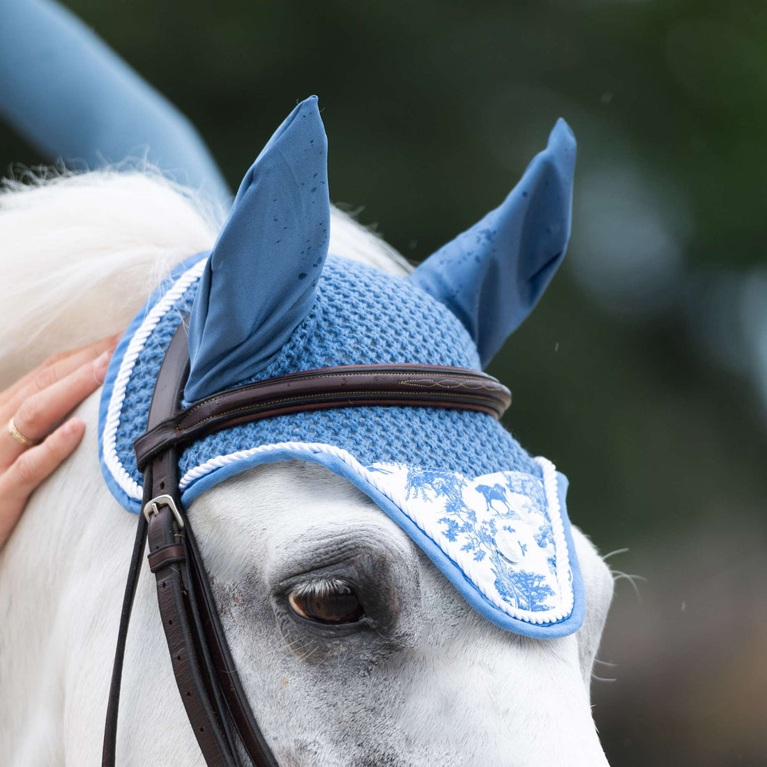 Dapplebay Equestrian Toile Pony Fly Veil - LIMITED EDITION