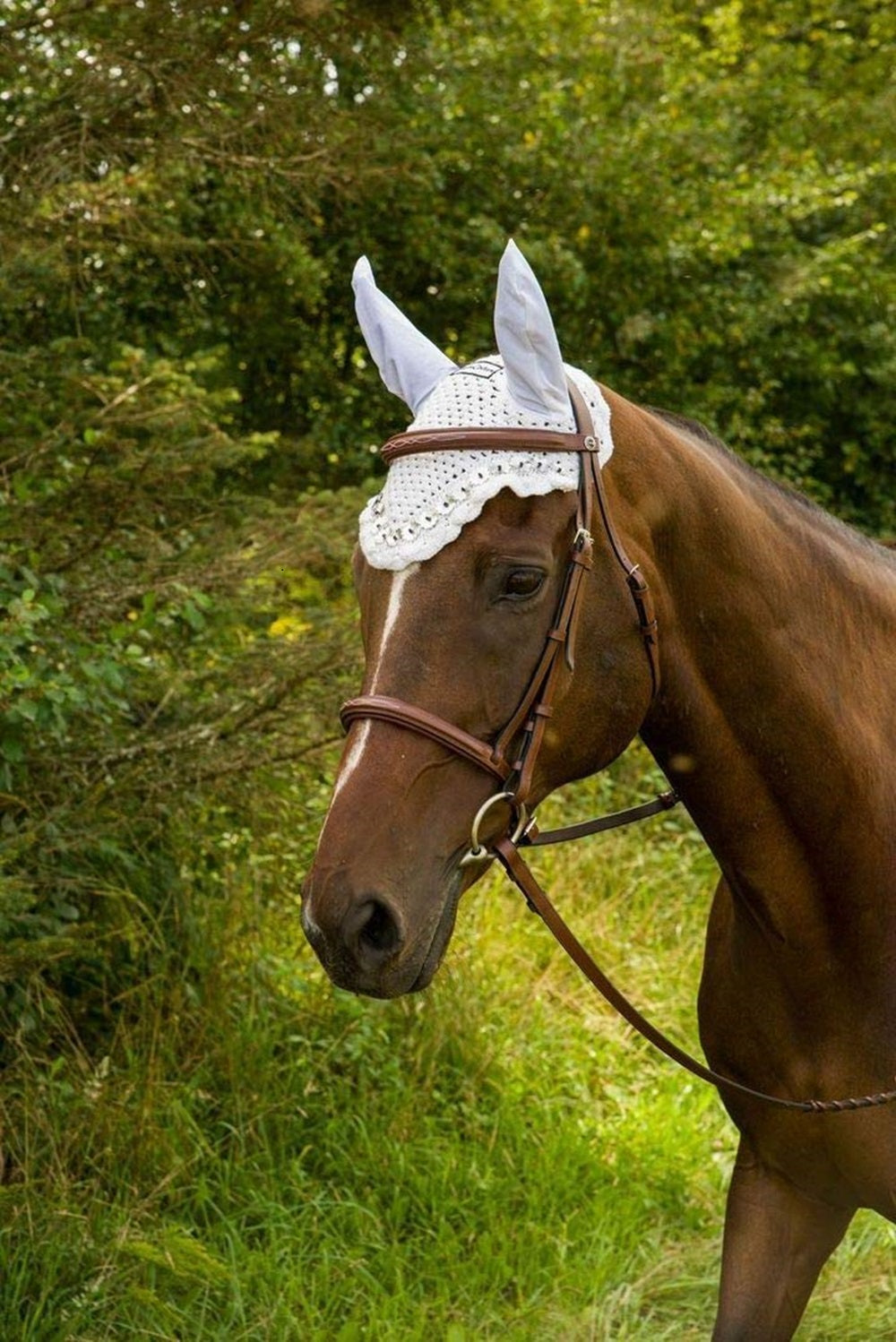 Equine Couture Floral Fly Bonnet