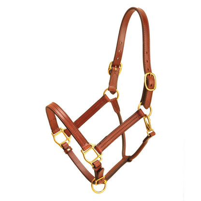 Tory Leather 1 Wide Triple Stitched Halter With Rolled Snap Throat, Adjustable Nose And Solid Brass Hardware- Black, Cob