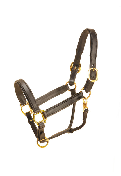 Tory Leather 1in Wide Padded Leather Halter- Black/Green, Cob