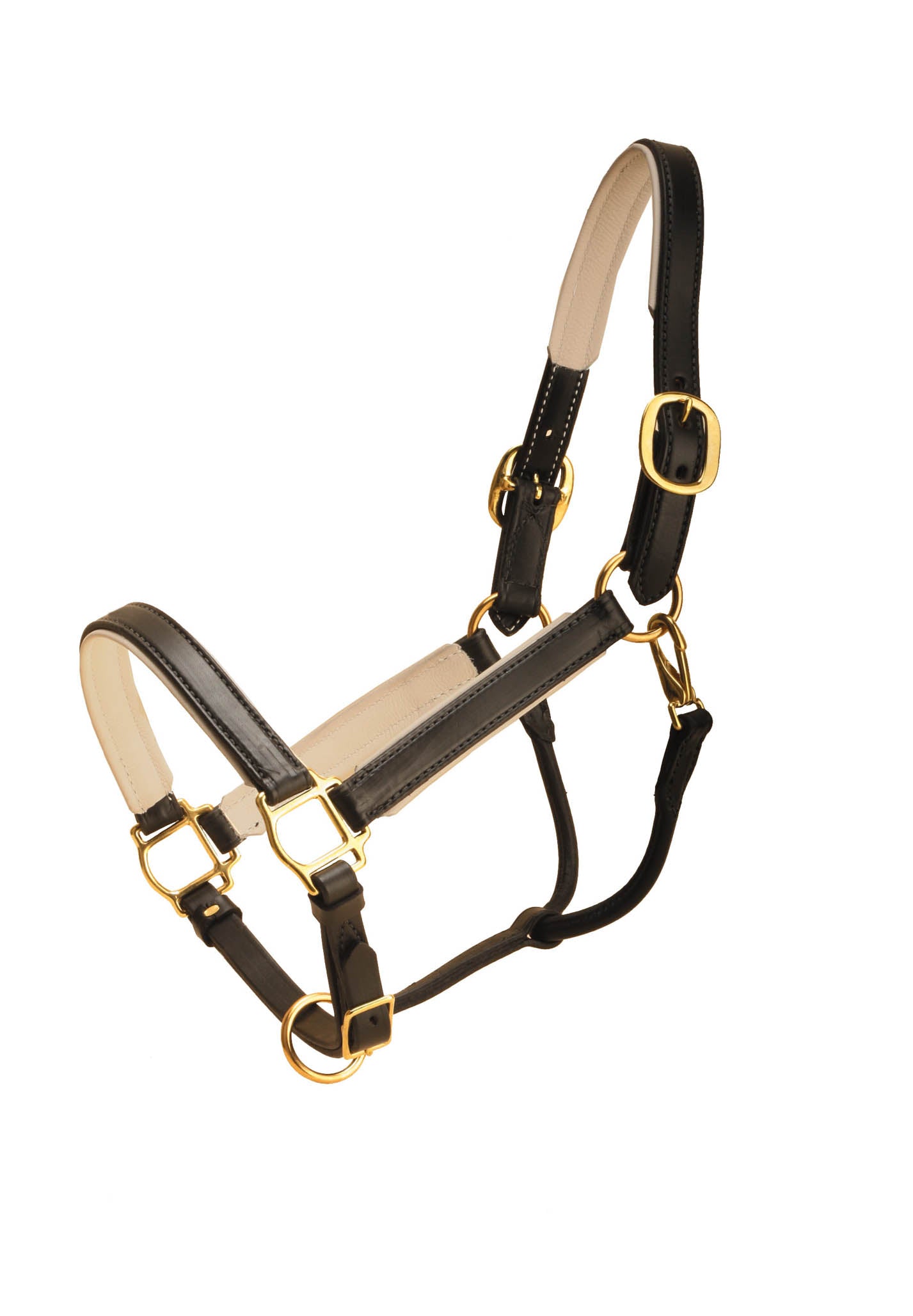 Tory Leather 1in Wide Padded Leather Halter- Black/Green, Cob