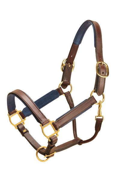 Tory Leather 1in Wide Padded Leather Halter- Black/Green, Cob