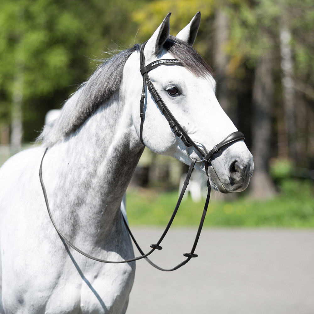 Horze Bergen Leather Remont Bridle