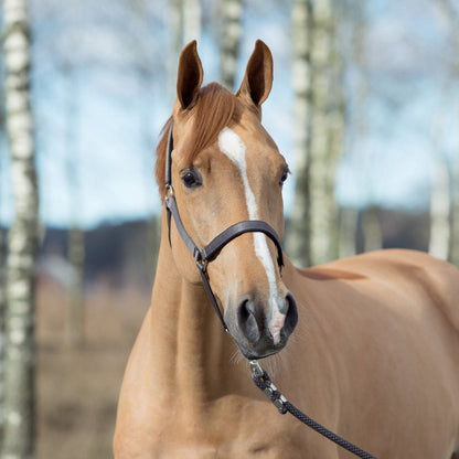 Horze Halter with Lining